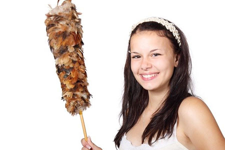 residential cleaner